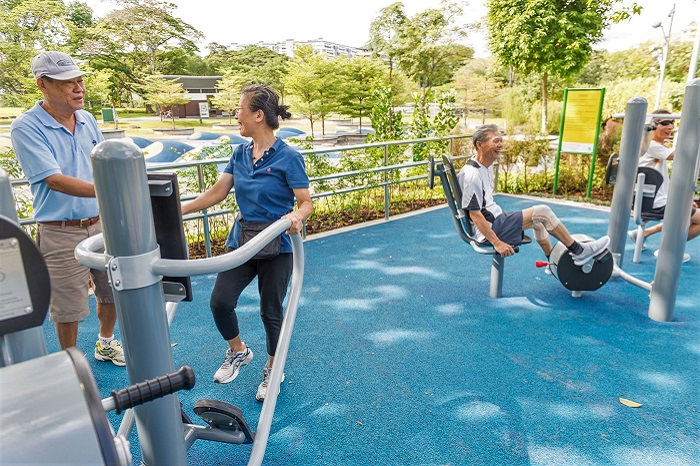 Senior-friendly fitness station in the therapeutic garden