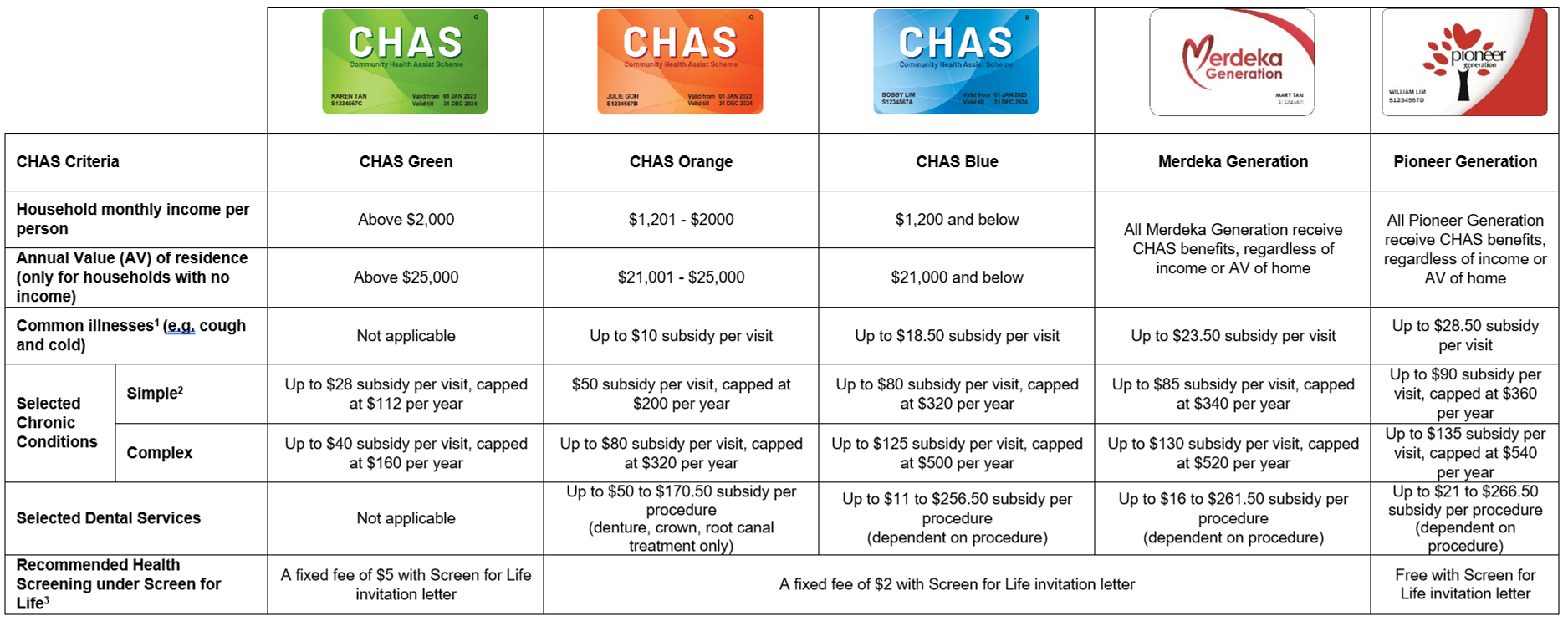 CHAS benefits 2024 AV
