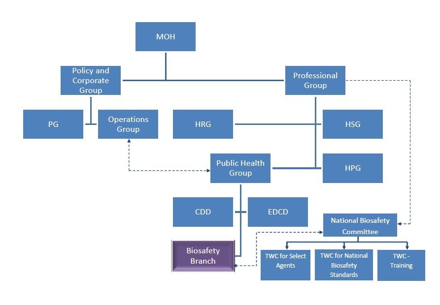 Moh Organisation Chart Singapore