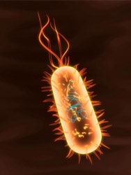 rendition of a bacteria