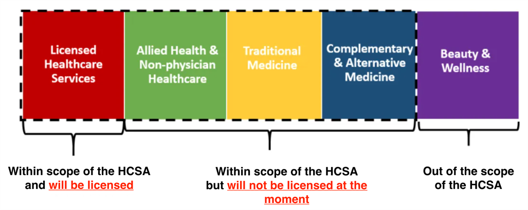 Proposed scope of HCSA